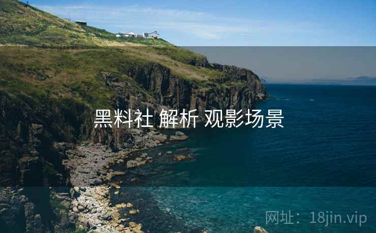 黑料社 解析 观影场景
