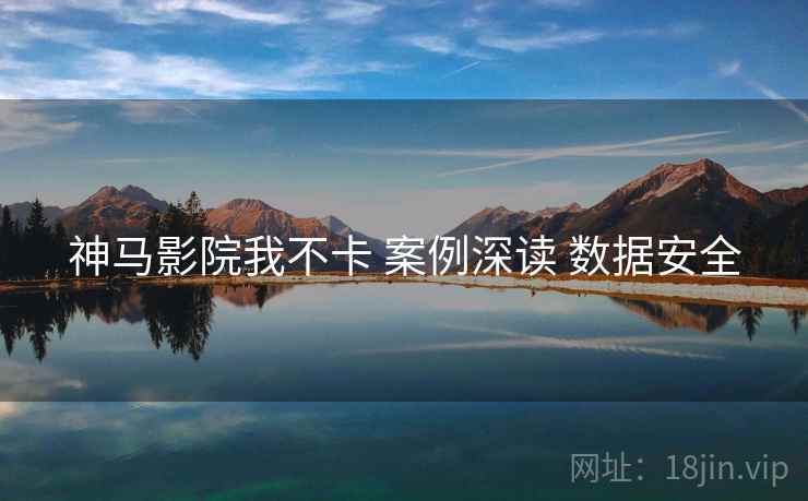 神马影院我不卡 案例深读 数据安全