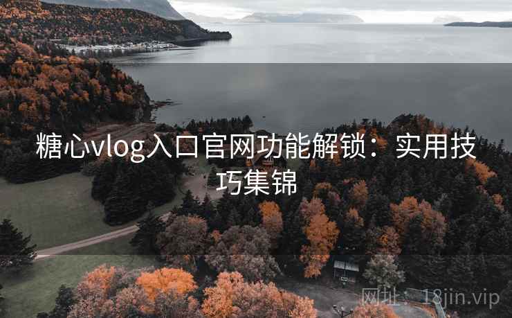糖心vlog入口官网功能解锁：实用技巧集锦
