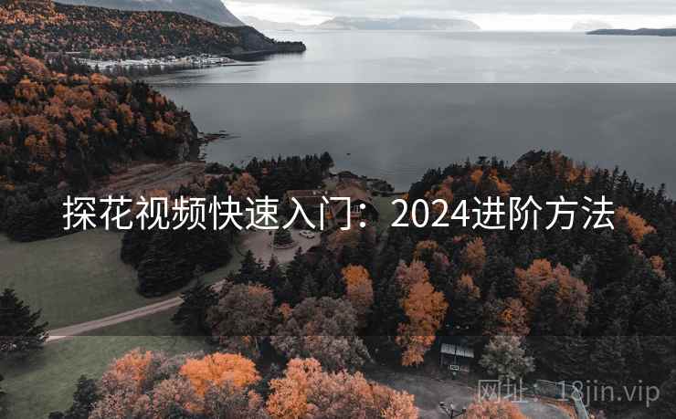 探花视频快速入门：2024进阶方法