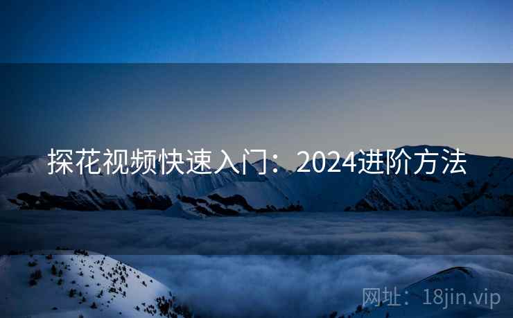 探花视频快速入门：2024进阶方法