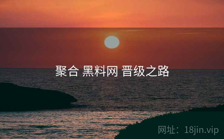 聚合 黑料网 晋级之路