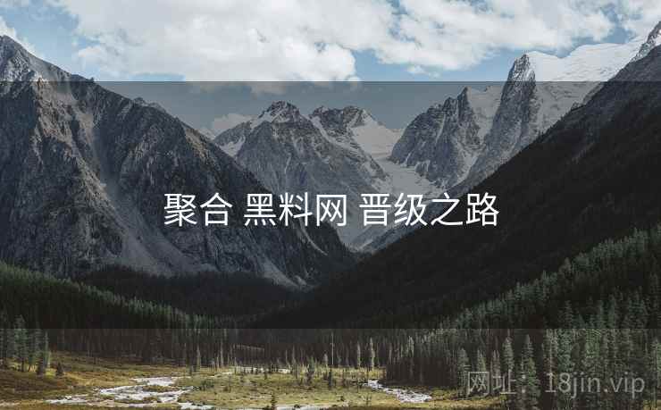 聚合 黑料网 晋级之路