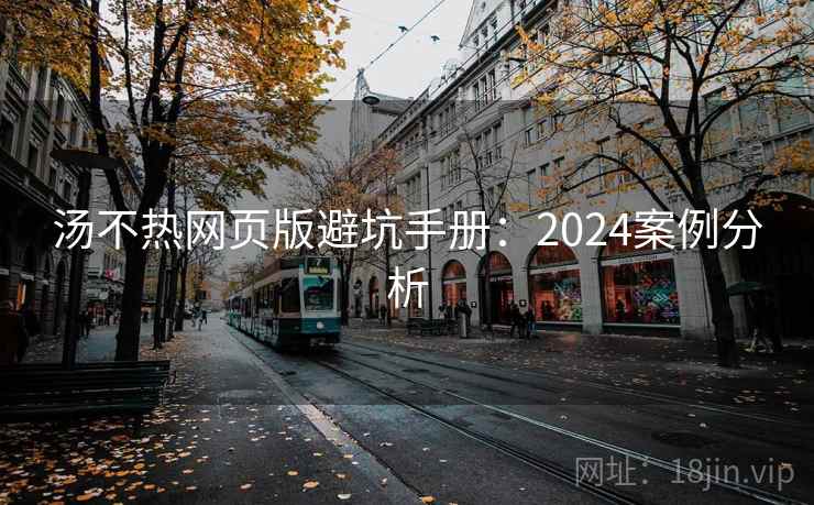 汤不热网页版避坑手册：2024案例分析