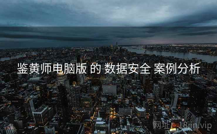 鉴黄师电脑版 的 数据安全 案例分析