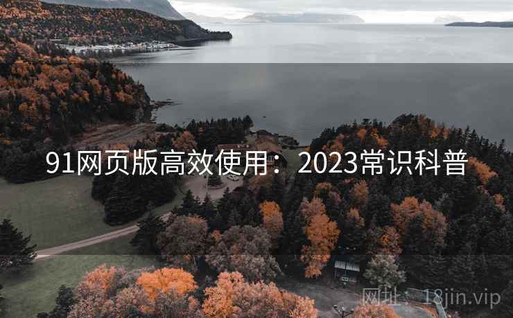 91网页版高效使用：2023常识科普