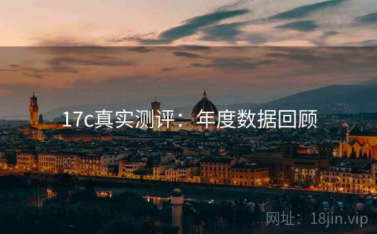 17c真实测评：年度数据回顾