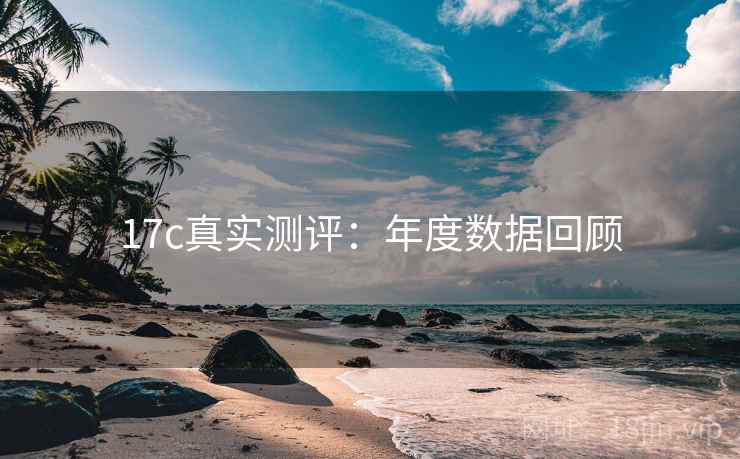 17c真实测评：年度数据回顾
