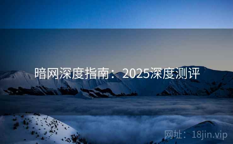 暗网深度指南：2025深度测评