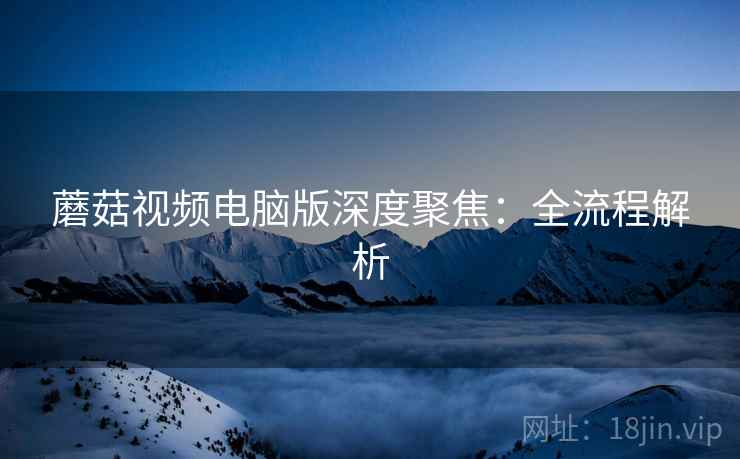 蘑菇视频电脑版深度聚焦：全流程解析