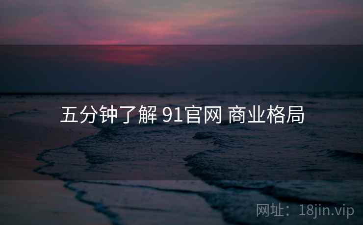 五分钟了解 91官网 商业格局