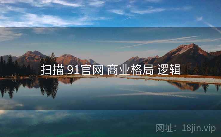 扫描 91官网 商业格局 逻辑