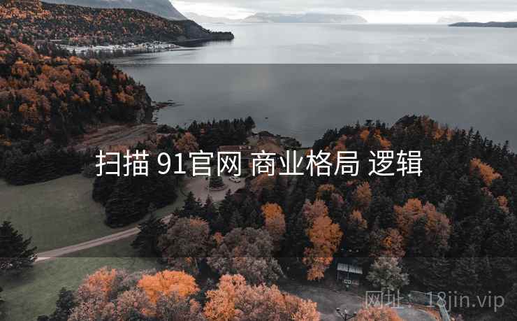 扫描 91官网 商业格局 逻辑