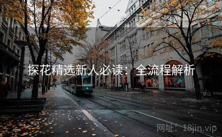 探花精选新人必读：全流程解析