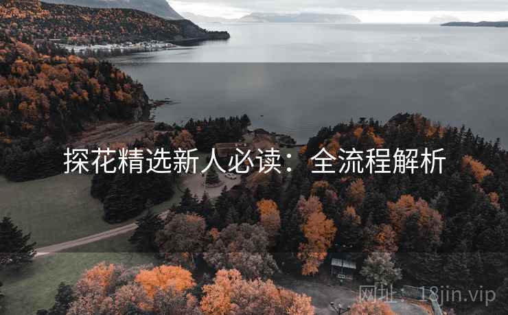 探花精选新人必读：全流程解析