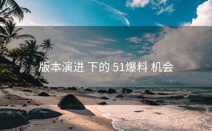 版本演进 下的 51爆料 机会