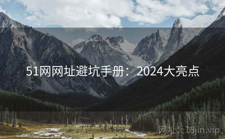 51网网址避坑手册：2024大亮点