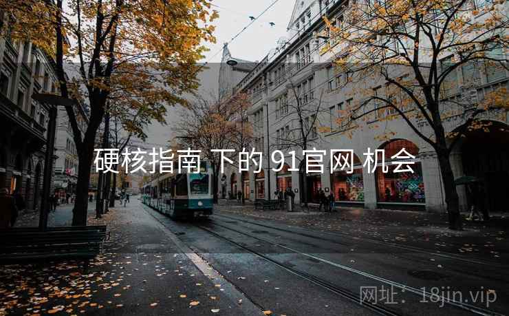 硬核指南 下的 91官网 机会