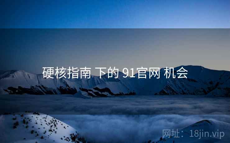 硬核指南 下的 91官网 机会
