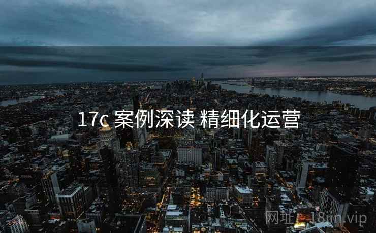 17c 案例深读 精细化运营