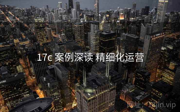 17c 案例深读 精细化运营