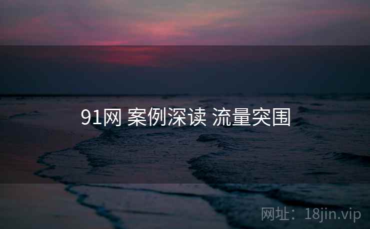 91网 案例深读 流量突围