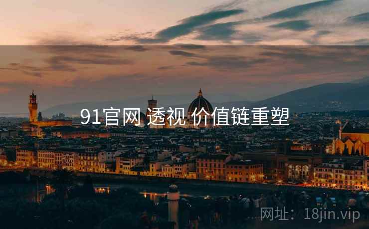 91官网 透视 价值链重塑