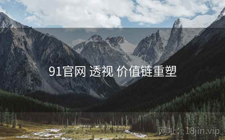 91官网 透视 价值链重塑
