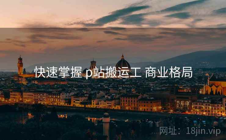 快速掌握 p站搬运工 商业格局