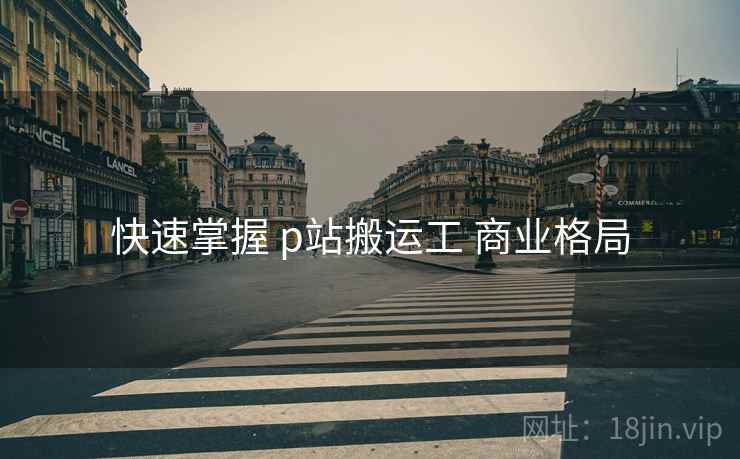 快速掌握 p站搬运工 商业格局