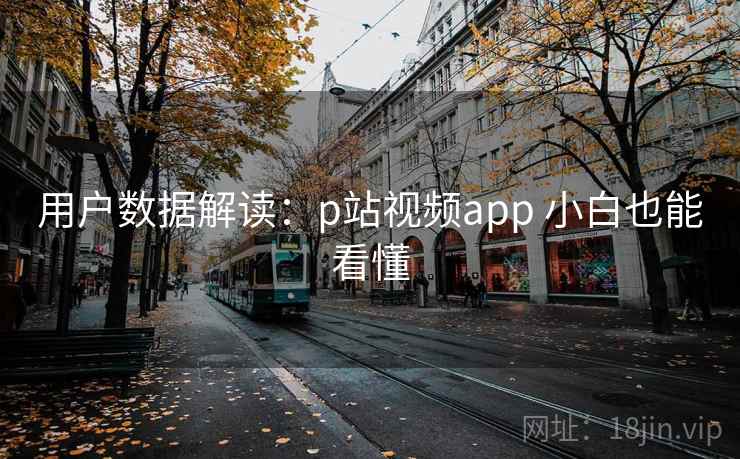 用户数据解读：p站视频app 小白也能看懂