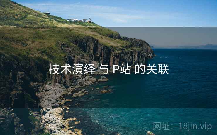 技术演绎 与 P站 的关联
