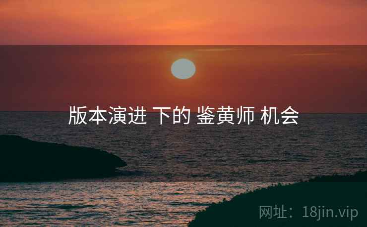 版本演进 下的 鉴黄师 机会