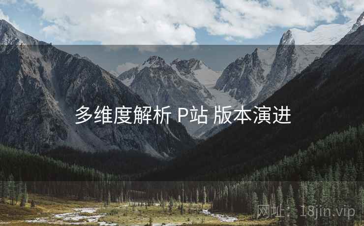 多维度解析 P站 版本演进