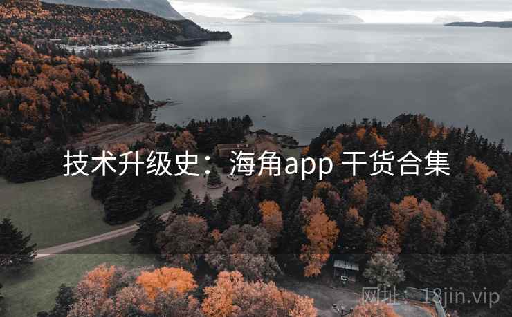 技术升级史：海角app 干货合集
