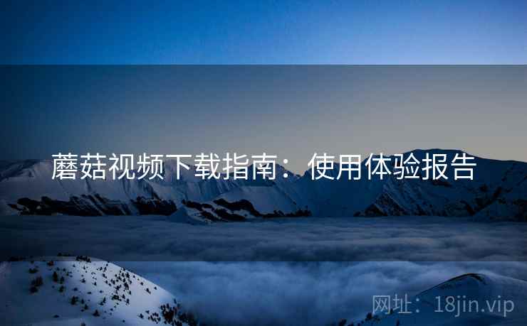 蘑菇视频下载指南：使用体验报告