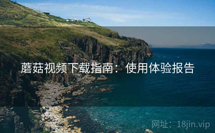 蘑菇视频下载指南：使用体验报告