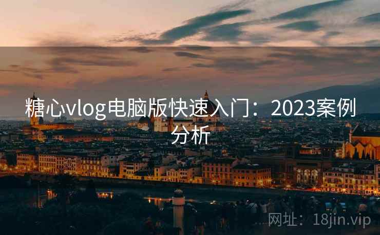 糖心vlog电脑版快速入门：2023案例分析