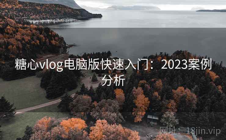 糖心vlog电脑版快速入门：2023案例分析