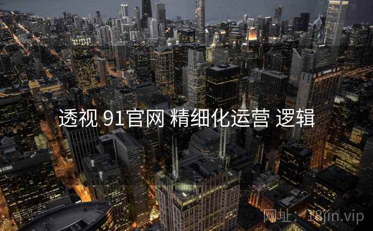 透视 91官网 精细化运营 逻辑