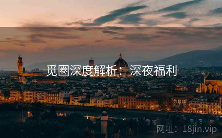 觅圈深度解析：深夜福利