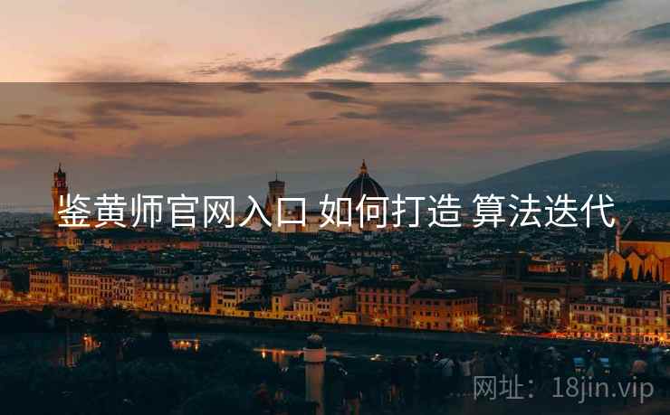 鉴黄师官网入口 如何打造 算法迭代