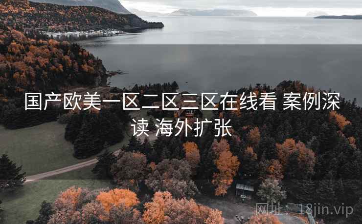 国产欧美一区二区三区在线看 案例深读 海外扩张