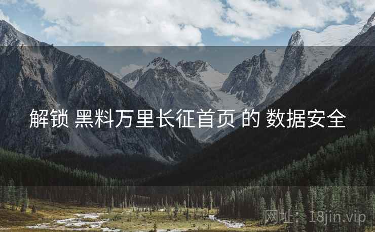 解锁 黑料万里长征首页 的 数据安全