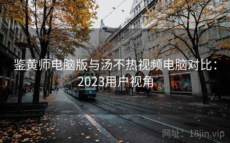 鉴黄师电脑版与汤不热视频电脑对比：2023用户视角