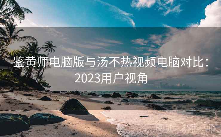 鉴黄师电脑版与汤不热视频电脑对比：2023用户视角
